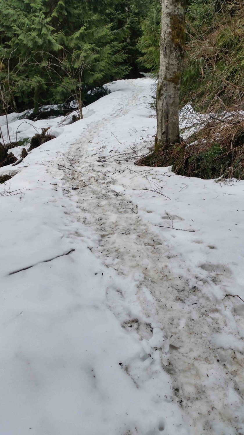 Snow-Trail